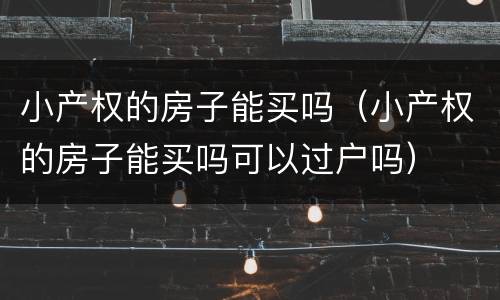 小产权的房子能买吗（小产权的房子能买吗可以过户吗）