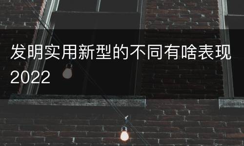 发明实用新型的不同有啥表现2022