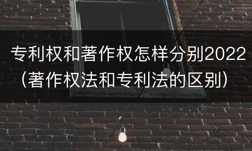 专利权和著作权怎样分别2022（著作权法和专利法的区别）