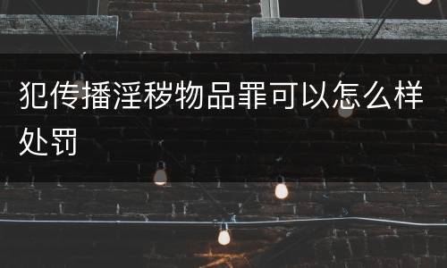 犯传播淫秽物品罪可以怎么样处罚