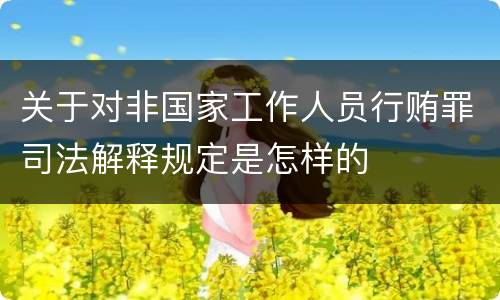 关于对非国家工作人员行贿罪司法解释规定是怎样的