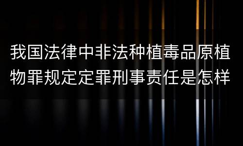 我国法律中非法种植毒品原植物罪规定定罪刑事责任是怎样