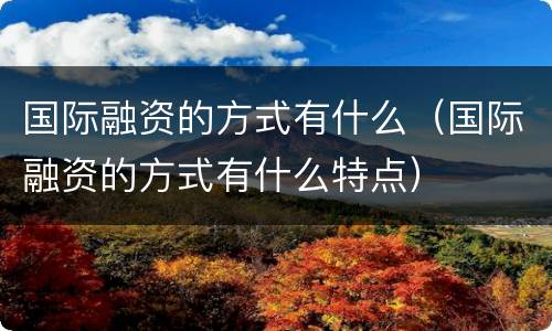 国际融资的方式有什么（国际融资的方式有什么特点）