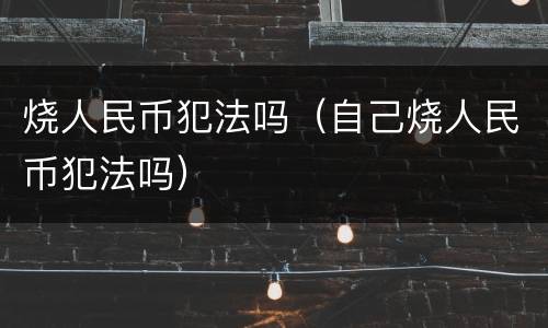 烧人民币犯法吗（自己烧人民币犯法吗）