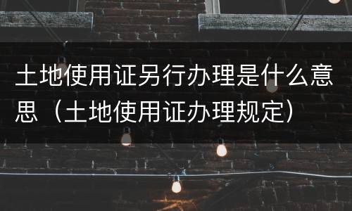 土地使用证另行办理是什么意思（土地使用证办理规定）