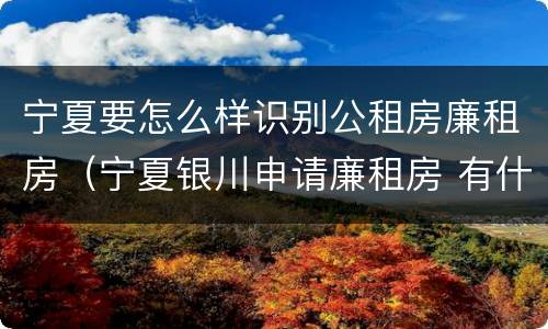 宁夏要怎么样识别公租房廉租房（宁夏银川申请廉租房 有什么条件）