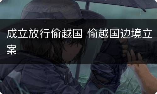 成立放行偷越国 偷越国边境立案