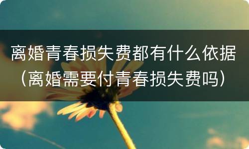 离婚青春损失费都有什么依据（离婚需要付青春损失费吗）