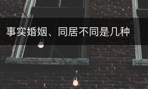 事实婚姻、同居不同是几种