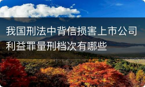 我国刑法中背信损害上市公司利益罪量刑档次有哪些