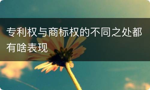 专利权与商标权的不同之处都有啥表现