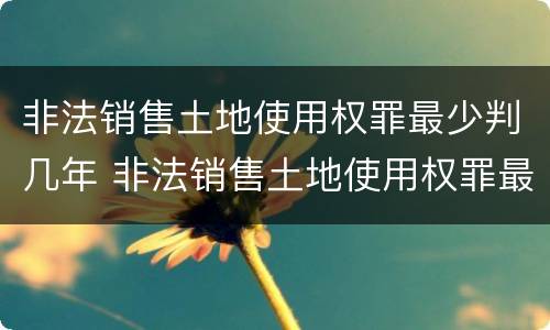 非法销售土地使用权罪最少判几年 非法销售土地使用权罪最少判几年以上