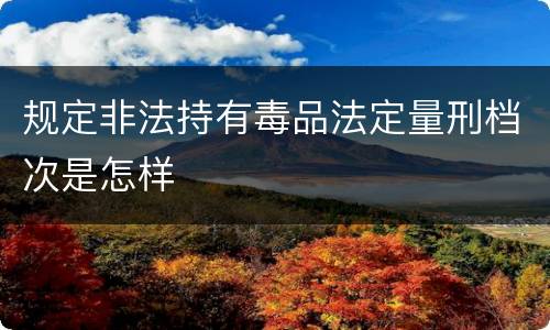 规定非法持有毒品法定量刑档次是怎样