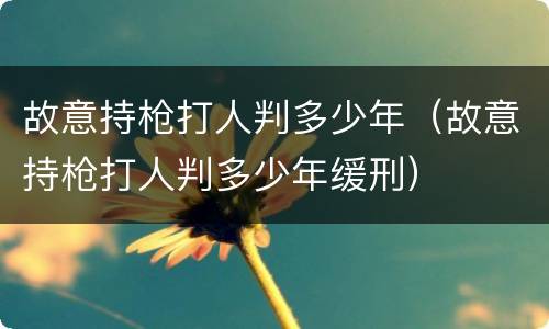 故意持枪打人判多少年（故意持枪打人判多少年缓刑）