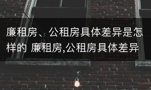 廉租房、公租房具体差异是怎样的 廉租房,公租房具体差异是怎样的现象