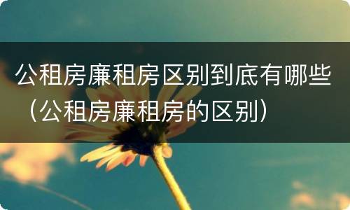 公租房廉租房区别到底有哪些（公租房廉租房的区别）