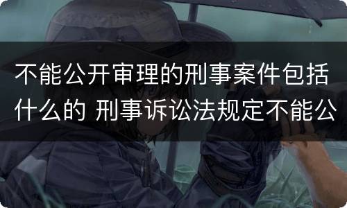 不能公开审理的刑事案件包括什么的 刑事诉讼法规定不能公开审理的案件包括