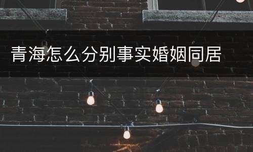 青海怎么分别事实婚姻同居