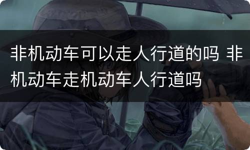 非机动车可以走人行道的吗 非机动车走机动车人行道吗