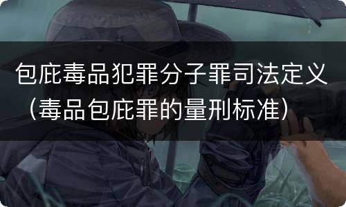 包庇毒品犯罪分子罪司法定义（毒品包庇罪的量刑标准）