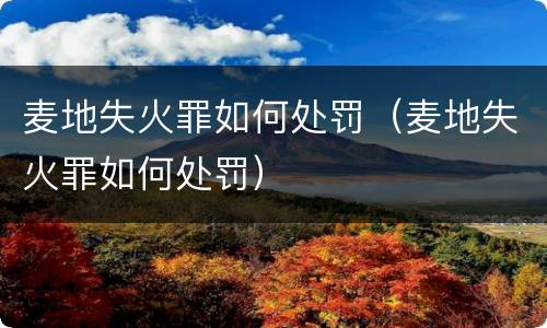 麦地失火罪如何处罚（麦地失火罪如何处罚）