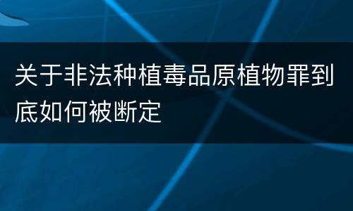 关于非法种植毒品原植物罪到底如何被断定