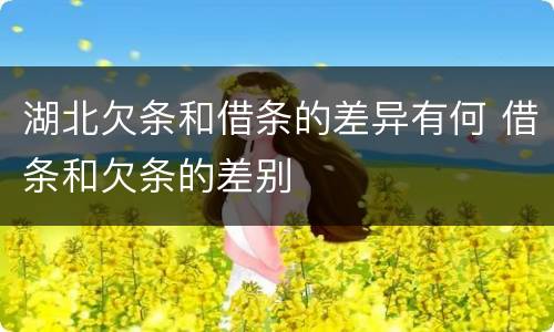 湖北欠条和借条的差异有何 借条和欠条的差别