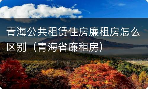 青海公共租赁住房廉租房怎么区别（青海省廉租房）