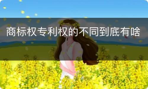 商标权专利权的不同到底有啥