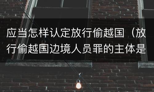 应当怎样认定放行偷越国（放行偷越国边境人员罪的主体是）