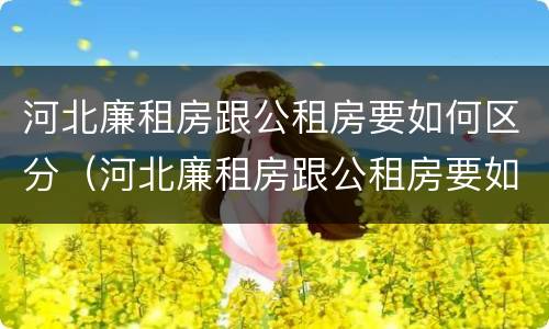 河北廉租房跟公租房要如何区分（河北廉租房跟公租房要如何区分呢）