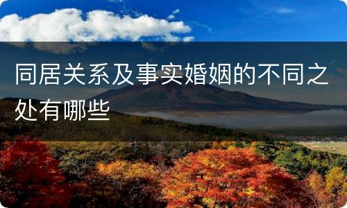 同居关系及事实婚姻的不同之处有哪些
