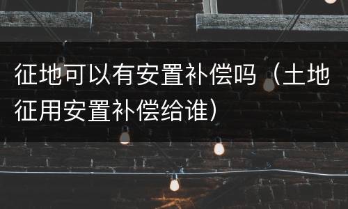 征地可以有安置补偿吗（土地征用安置补偿给谁）