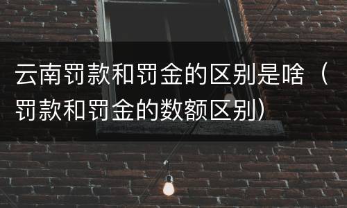 云南罚款和罚金的区别是啥（罚款和罚金的数额区别）