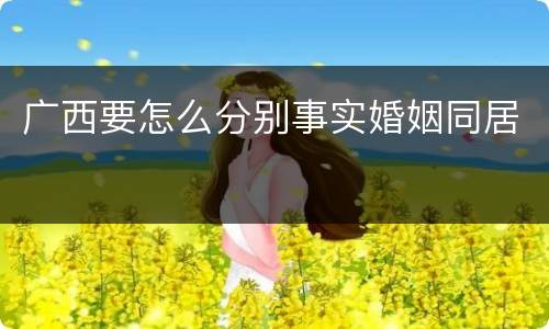 广西要怎么分别事实婚姻同居