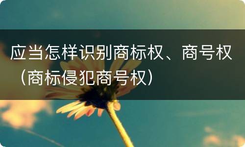 应当怎样识别商标权、商号权（商标侵犯商号权）