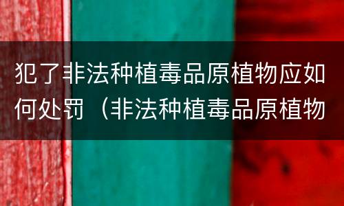 犯了非法种植毒品原植物应如何处罚（非法种植毒品原植物罪情节严重的三种情况）