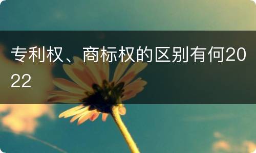 专利权、商标权的区别有何2022