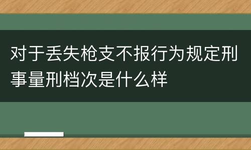 对于丢失枪支不报行为规定刑事量刑档次是什么样