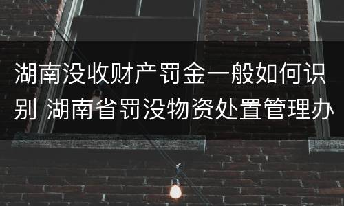湖南没收财产罚金一般如何识别 湖南省罚没物资处置管理办法