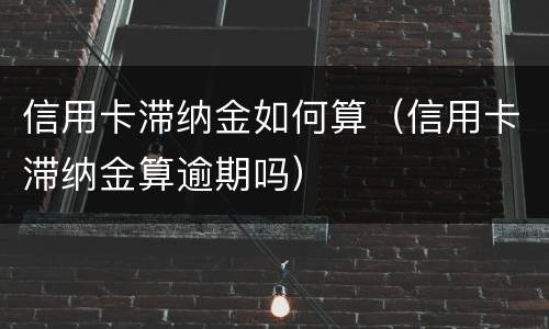 信用卡滞纳金如何算（信用卡滞纳金算逾期吗）
