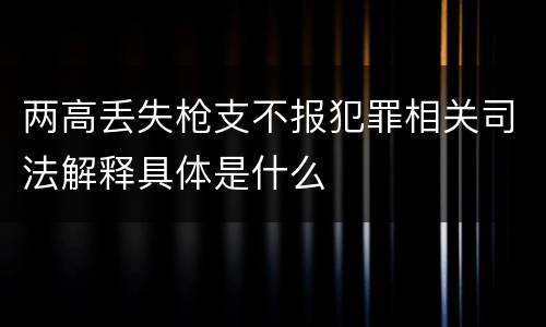 两高丢失枪支不报犯罪相关司法解释具体是什么