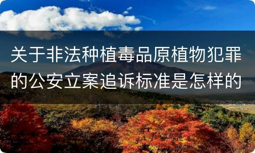 关于非法种植毒品原植物犯罪的公安立案追诉标准是怎样的