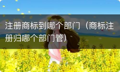 注册商标到哪个部门（商标注册归哪个部门管）