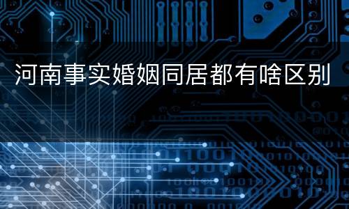 河南事实婚姻同居都有啥区别