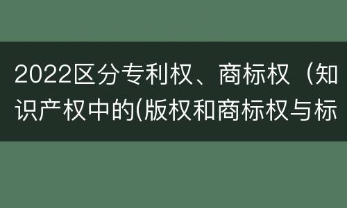2022区分专利权、商标权（知识产权中的(版权和商标权与标准）