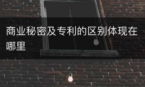 商业秘密及专利的区别体现在哪里