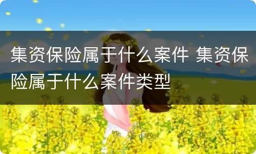 集资保险属于什么案件 集资保险属于什么案件类型