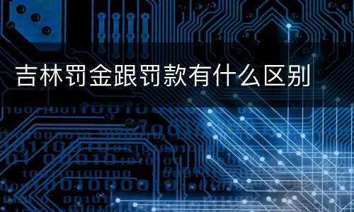 吉林罚金跟罚款有什么区别