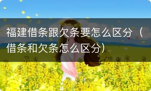 福建借条跟欠条要怎么区分（借条和欠条怎么区分）